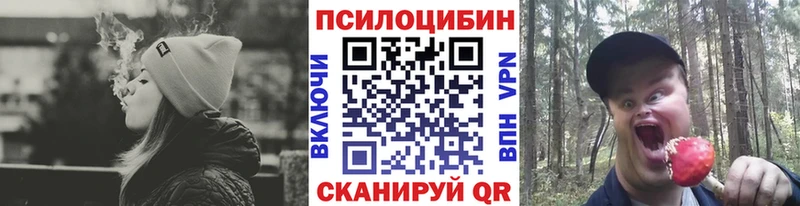 Галлюциногенные грибы Psilocybe Черноголовка
