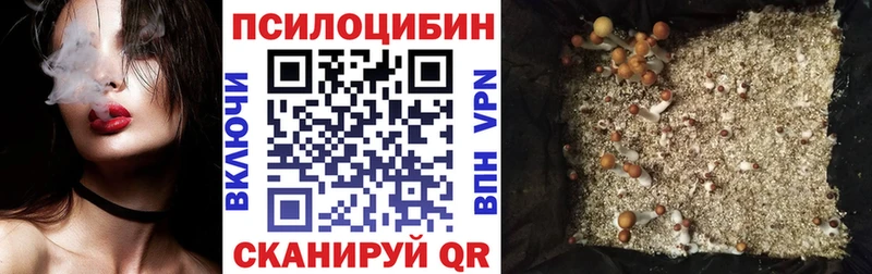 kraken сайт  Черноголовка  Галлюциногенные грибы MAGIC MUSHROOMS 